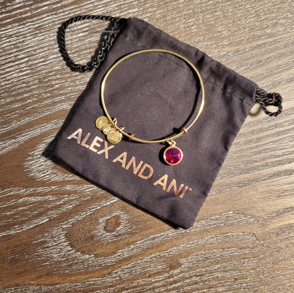 Alex and Ani Gold/Garnet Bracelet